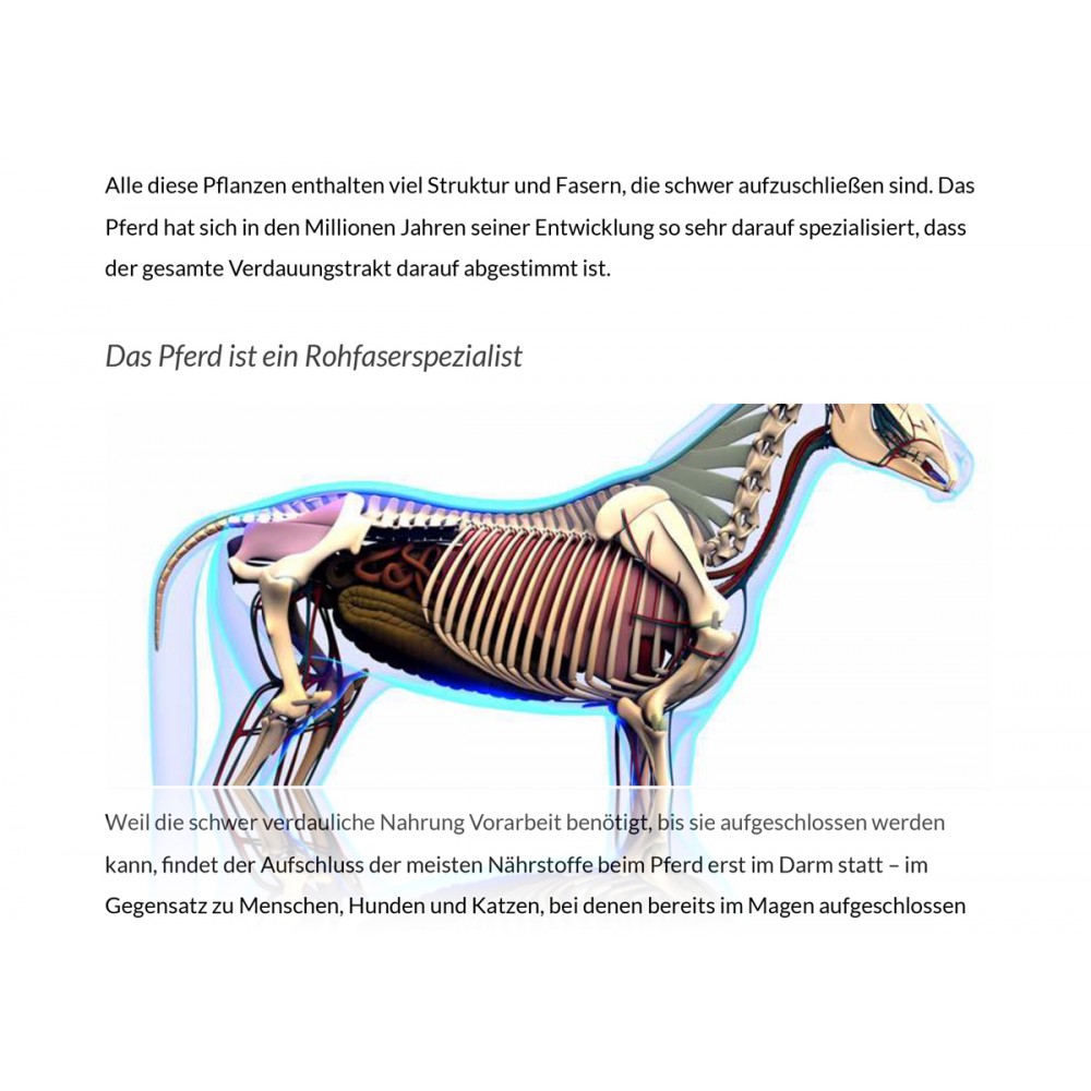 Krauterie Verdauungsphysiologie des Pferdes