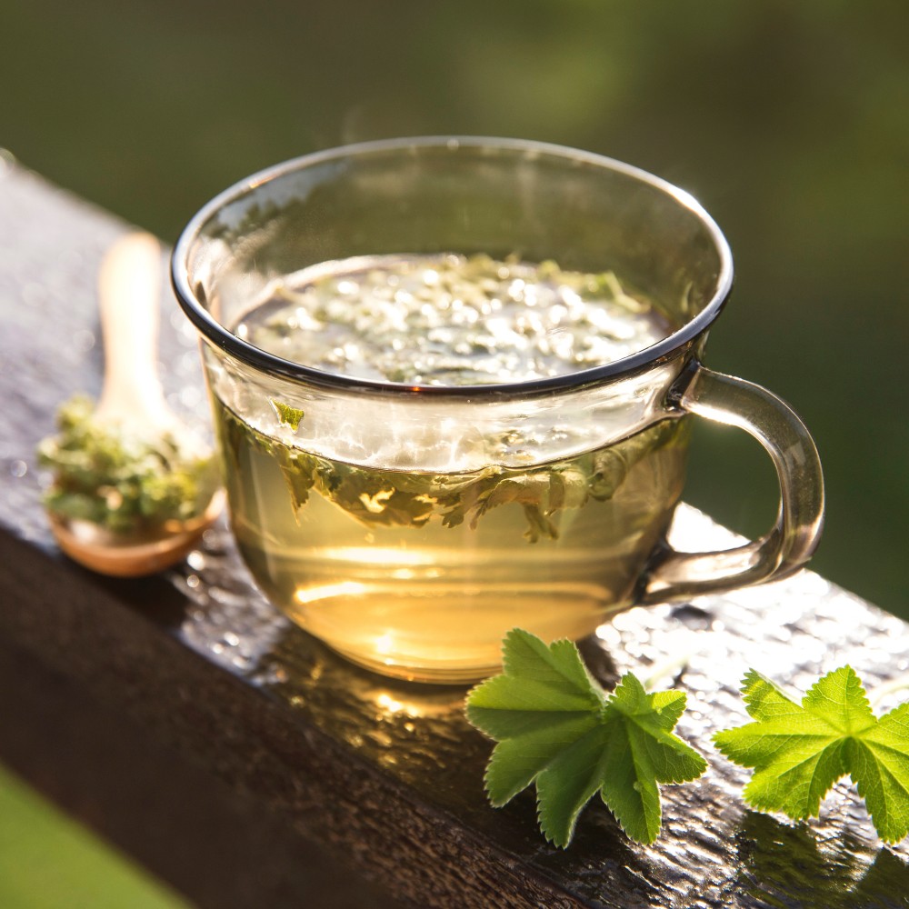 Frauenmantel Tee im Glas, Alchemilla vulgaris