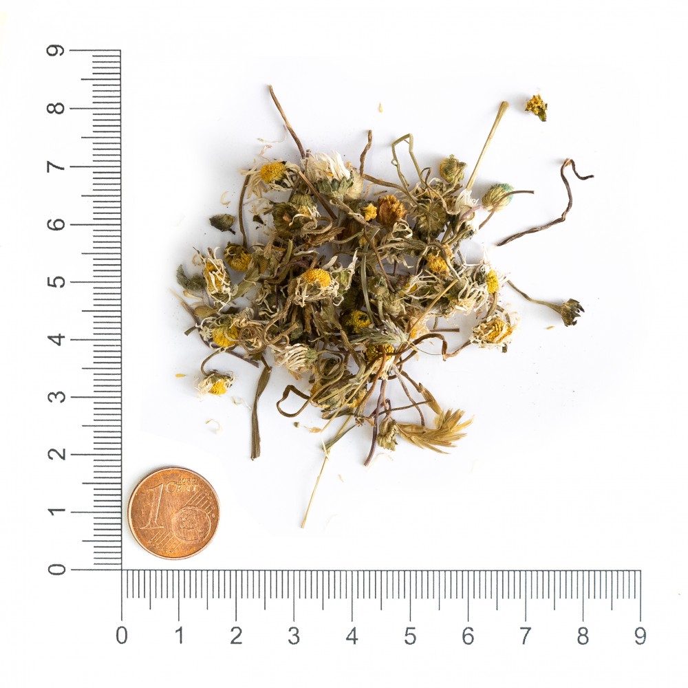 Krauterie Gänseblümchen-Tee, Detailaufnahme mit Maßstab