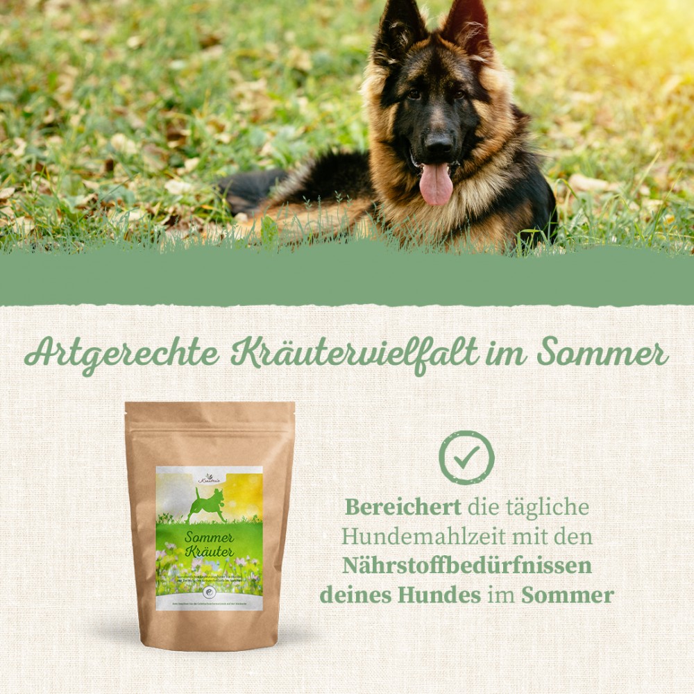 Krauterie Sommer Kräuter für Hunde, Saisonkräuter als Bestandteil artgerechter Fütterung