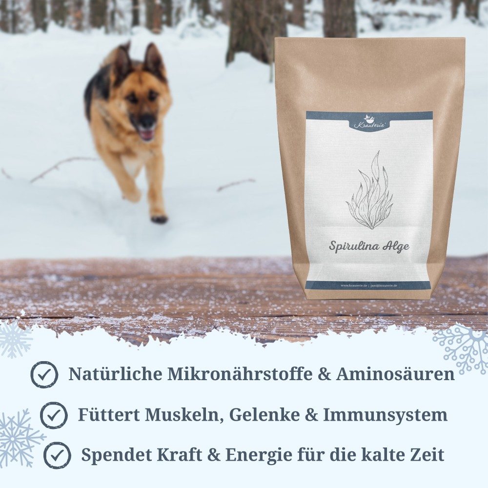 Krauterie Winter Set für Hunde, Spirulina Alge