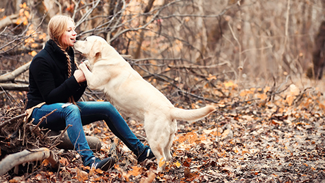 Mann mit Hund im Herbst im Wald